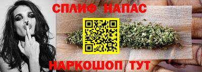 хмурый Сланцы